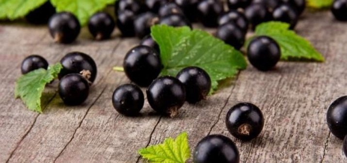 Компот из цедры лимона. kompot iz limona sekrety prigotovleniya i samye vkusnye recepty 10. Компот из цедры лимона фото. Компот из цедры лимона-kompot iz limona sekrety prigotovleniya i samye vkusnye recepty 10. картинка Компот из цедры лимона. картинка kompot iz limona sekrety prigotovleniya i samye vkusnye recepty 10. Это простой рецепт ароматного и полезного напитка для всех членов вашей семьи и гостей.