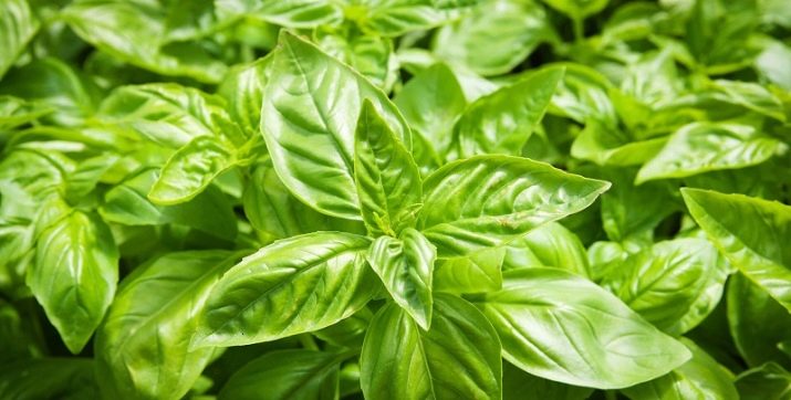 Компот из цедры лимона. kompot iz limona sekrety prigotovleniya i samye vkusnye recepty 9. Компот из цедры лимона фото. Компот из цедры лимона-kompot iz limona sekrety prigotovleniya i samye vkusnye recepty 9. картинка Компот из цедры лимона. картинка kompot iz limona sekrety prigotovleniya i samye vkusnye recepty 9. Это простой рецепт ароматного и полезного напитка для всех членов вашей семьи и гостей.