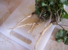 Корни чесночницы для закусок