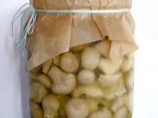 Маринованные грибы дождевики