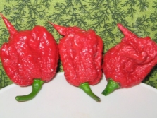 Перец Carolina Reaper