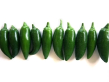 Сорт халапеньо espinalteco