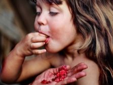 Норвежская малина описание сорта фото. norvezhskaya malina harakteristiki sorta i osobennosti posadki 13. Норвежская малина описание сорта фото фото. Норвежская малина описание сорта фото-norvezhskaya malina harakteristiki sorta i osobennosti posadki 13. картинка Норвежская малина описание сорта фото. картинка norvezhskaya malina harakteristiki sorta i osobennosti posadki 13. Речь идет о пяти разных видов малины? Нет! Все это названия одной культуры, чаще всего продающейся в садовых центрах как малина Норвежская.