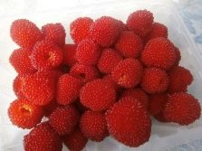 Норвежская малина описание сорта фото. norvezhskaya malina harakteristiki sorta i osobennosti posadki 2. Норвежская малина описание сорта фото фото. Норвежская малина описание сорта фото-norvezhskaya malina harakteristiki sorta i osobennosti posadki 2. картинка Норвежская малина описание сорта фото. картинка norvezhskaya malina harakteristiki sorta i osobennosti posadki 2. Речь идет о пяти разных видов малины? Нет! Все это названия одной культуры, чаще всего продающейся в садовых центрах как малина Норвежская.