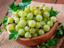 Крыжовник рецепты с орехами. osobennosti prigotovleniya varenya iz kryzhovnika s greckimi orehami 7. Крыжовник рецепты с орехами фото. Крыжовник рецепты с орехами-osobennosti prigotovleniya varenya iz kryzhovnika s greckimi orehami 7. картинка Крыжовник рецепты с орехами. картинка osobennosti prigotovleniya varenya iz kryzhovnika s greckimi orehami 7. Кладезь витаминов — это варенье из крыжовника с грецкими орехами, и, конечно, оно очень вкусное!