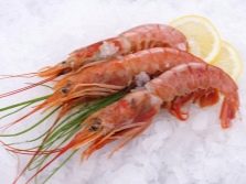 Мороженные лангустины рецепты приготовления. kak gotovit langustiny 17. Мороженные лангустины рецепты приготовления фото. Мороженные лангустины рецепты приготовления-kak gotovit langustiny 17. картинка Мороженные лангустины рецепты приготовления. картинка kak gotovit langustiny 17. Лангустины – крупные представители семейства ракообразных. В США их называют аргентинскими креветками, а в Европе – норвежскими омарами или лобстерами. Они крупнее обычных креветок, обладают сладковатым вкусом и очень полезны, потому что содержат много белка. Готовить их несложно, а важные дополнительные ингредиенты для них – лимон, соевый соус и чеснок.
