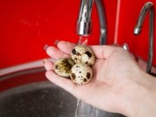 Перепелиные яйца как рецепты. sposoby prigotovleniya perepelinyh yaic 8. Перепелиные яйца как рецепты фото. Перепелиные яйца как рецепты-sposoby prigotovleniya perepelinyh yaic 8. картинка Перепелиные яйца как рецепты. картинка sposoby prigotovleniya perepelinyh yaic 8. Несмотря на свой размер и интересный внешний вид, перепелиные яйца являются настоящим кладезем витаминов и полезных микроэлементов. В отличие от куриных в них не содержится холестерин. Они повышают иммунитет и подходят для употребления в пищу даже аллергикам. Существует огромное количество интересных вариантов их приготовления.