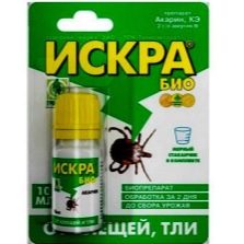 Огневка на смородине как бороться фото. kak borotsya s ognyovkoj na smorodine 12. Огневка на смородине как бороться фото фото. Огневка на смородине как бороться фото-kak borotsya s ognyovkoj na smorodine 12. картинка Огневка на смородине как бороться фото. картинка kak borotsya s ognyovkoj na smorodine 12. Огневка – распространенный вредитель, который наносит ущерб садовым культурам, в том числе и смородине. Если не предпринимать никаких усилий для борьбы с этой бабочкой, растения могут сильно пострадать, в результате чего снизится их продуктивность. Как вовремя обнаружить присутствие данного вредителя на участке? Какие соответствующие меры принять для его истребления, чтобы сохранить насаждения и урожай ягод?