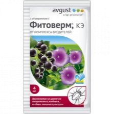 Огневка на смородине как бороться фото. kak borotsya s ognyovkoj na smorodine 13. Огневка на смородине как бороться фото фото. Огневка на смородине как бороться фото-kak borotsya s ognyovkoj na smorodine 13. картинка Огневка на смородине как бороться фото. картинка kak borotsya s ognyovkoj na smorodine 13. Огневка – распространенный вредитель, который наносит ущерб садовым культурам, в том числе и смородине. Если не предпринимать никаких усилий для борьбы с этой бабочкой, растения могут сильно пострадать, в результате чего снизится их продуктивность. Как вовремя обнаружить присутствие данного вредителя на участке? Какие соответствующие меры принять для его истребления, чтобы сохранить насаждения и урожай ягод?