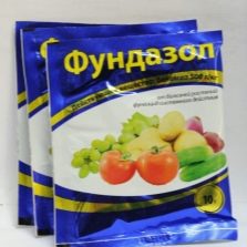 Препараты от вертициллезного увядания клубники. verticilleznoe uvyadanie klubniki opisanie i lechenie bolezni profilakticheskie mery 8. Препараты от вертициллезного увядания клубники фото. Препараты от вертициллезного увядания клубники-verticilleznoe uvyadanie klubniki opisanie i lechenie bolezni profilakticheskie mery 8. картинка Препараты от вертициллезного увядания клубники. картинка verticilleznoe uvyadanie klubniki opisanie i lechenie bolezni profilakticheskie mery 8. Выращивание клубники нередко бывает омрачено поражением растения различными инфекциями. Не последнее место среди заболеваний, которым подвержена культура, занимает вертициллёзное увядание, вызванное размножением микроорганизмов. Садоводам будет полезно узнать, как бороться с паразитирующим грибом, являющимся причиной гибели клубничных кустов и снижающим качество урожая.
