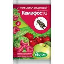 Чем можно обработать клубнику с ягодами. chem obrabotat klubniku ot boleznej i vreditelej vo vremya plodonosheniya 16. Чем можно обработать клубнику с ягодами фото. Чем можно обработать клубнику с ягодами-chem obrabotat klubniku ot boleznej i vreditelej vo vremya plodonosheniya 16. картинка Чем можно обработать клубнику с ягодами. картинка chem obrabotat klubniku ot boleznej i vreditelej vo vremya plodonosheniya 16. Вкуснейшую садовую клубнику любят не только взрослые и дети, но также и насекомые, которые очень часто портят садоводам весь урожай. К сожалению, привычные механические приемы не всегда помогают раз и навсегда избавиться от вредителей, в результате чего приходится прибегать к использованию различных инсектицидов. Многих садоводов всегда волнует серьезный вопрос: что же делать, если вредители поселились на уже плодоносящей клубнике?