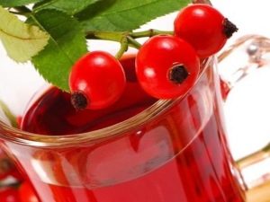 Можно ли употреблять шиповник при грудном вскармливании?