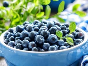 Всё о чернике: применение в медицине, кулинарии и косметологии