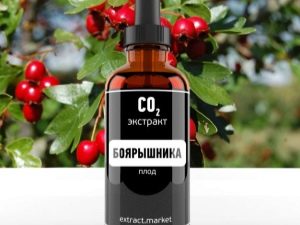 Как и в каких случаях использовать «Экстракт боярышника»?