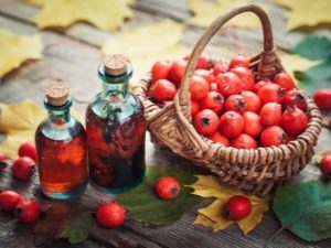 Всё о боярышнике: лечебная сила и сферы применения