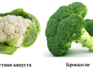 Брокколи и цветная капуста: в чем разница?