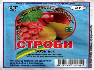 Как правильно применять фунгицид «Строби» для винограда?