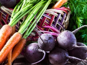 Какую культуру можно сажать после моркови?
