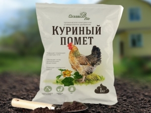 Как использовать куриный помет для удобрения огурцов?