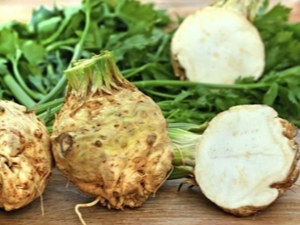 Корень сельдерея: польза и вред, рецепты вкусных блюд