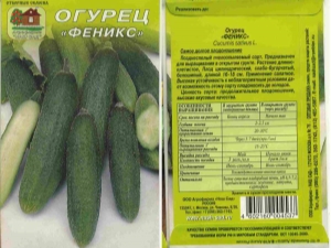 Огурцы «Феникс»: особенности и выращивание