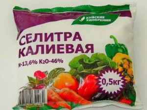 Особенности применения селитры для огурцов