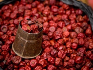 Сушеная вишня: полезные свойства и калорийность продукта