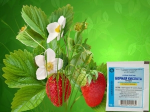 Борная кислота для клубники