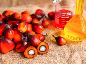 Как и из каких продуктов производят пальмовое масло?