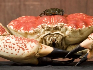 Какой краб самый большой в мире?