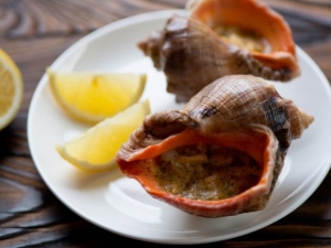 Мясо рапана: что это такое и как приготовить? 