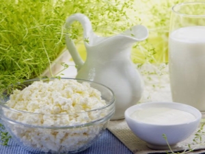 Молоко и молочные продукты при панкреатите