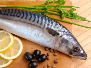 Польза и вред скумбрии