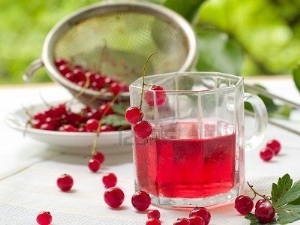Рецепты компота из калины