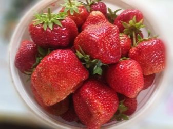 Цветы из клубники и киви. kak krasivo ukrasit tort klubnikoj 8. Цветы из клубники и киви фото. Цветы из клубники и киви-kak krasivo ukrasit tort klubnikoj 8. картинка Цветы из клубники и киви. картинка kak krasivo ukrasit tort klubnikoj 8. Свежие сочные фрукты, сладкие ягоды – что может быть аппетитнее и привлекательнее? Именно поэтому в качестве украшения тортов фрукты используются очень часто. Фрукты можно нарезать тонкими ломтиками и раскладывать на поверхности торта, покрывать слоем специального желе, переслаивать коржи и добавлять кусочки в крем.