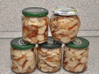 Маринованные белые грибы