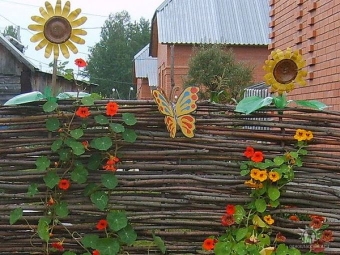 Плетень из фундука