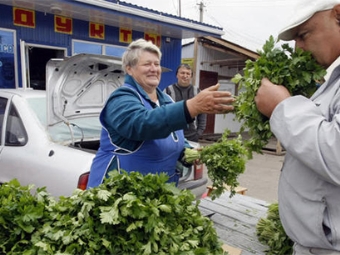 Характеристики петрушки