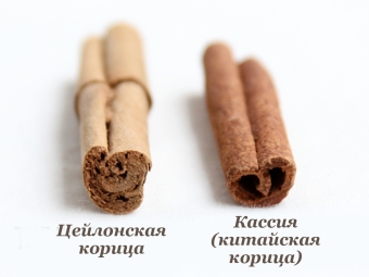 Отличие - цейлонская корица и кассия