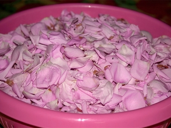 Сырье для варенья из роз