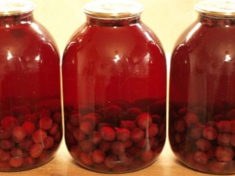 Компот из алычи пить. kak svarit kompot iz alychi 21. Компот из алычи пить фото. Компот из алычи пить-kak svarit kompot iz alychi 21. картинка Компот из алычи пить. картинка kak svarit kompot iz alychi 21. Предлагаю воспользоваться простым рецептом ароматного и очень вкусного компота из алычи и абрикосов. Алычу можно брать любого цвета, на вкус компота это никак не повлияет. Сладкий компот очень нравится маленьким детям, поэтому приготовьте его обязательно и порадуйте своих малышей.