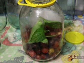Компот из алычи пить. kak svarit kompot iz alychi 24. Компот из алычи пить фото. Компот из алычи пить-kak svarit kompot iz alychi 24. картинка Компот из алычи пить. картинка kak svarit kompot iz alychi 24. Предлагаю воспользоваться простым рецептом ароматного и очень вкусного компота из алычи и абрикосов. Алычу можно брать любого цвета, на вкус компота это никак не повлияет. Сладкий компот очень нравится маленьким детям, поэтому приготовьте его обязательно и порадуйте своих малышей.