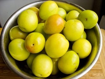 Компот из алычи пить. kak svarit kompot iz alychi 30. Компот из алычи пить фото. Компот из алычи пить-kak svarit kompot iz alychi 30. картинка Компот из алычи пить. картинка kak svarit kompot iz alychi 30. Предлагаю воспользоваться простым рецептом ароматного и очень вкусного компота из алычи и абрикосов. Алычу можно брать любого цвета, на вкус компота это никак не повлияет. Сладкий компот очень нравится маленьким детям, поэтому приготовьте его обязательно и порадуйте своих малышей.