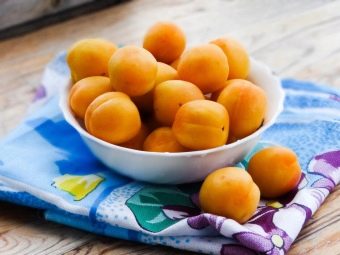 Компот из алычи пить. kak svarit kompot iz alychi 31. Компот из алычи пить фото. Компот из алычи пить-kak svarit kompot iz alychi 31. картинка Компот из алычи пить. картинка kak svarit kompot iz alychi 31. Предлагаю воспользоваться простым рецептом ароматного и очень вкусного компота из алычи и абрикосов. Алычу можно брать любого цвета, на вкус компота это никак не повлияет. Сладкий компот очень нравится маленьким детям, поэтому приготовьте его обязательно и порадуйте своих малышей.