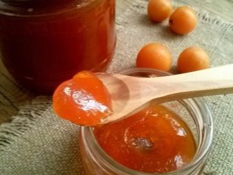 Компот из алычи пить. kak svarit kompot iz alychi 6. Компот из алычи пить фото. Компот из алычи пить-kak svarit kompot iz alychi 6. картинка Компот из алычи пить. картинка kak svarit kompot iz alychi 6. Предлагаю воспользоваться простым рецептом ароматного и очень вкусного компота из алычи и абрикосов. Алычу можно брать любого цвета, на вкус компота это никак не повлияет. Сладкий компот очень нравится маленьким детям, поэтому приготовьте его обязательно и порадуйте своих малышей.