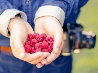 Сколько кальция в малине. kakie vitaminy i mineraly soderzhatsya v maline 13. Сколько кальция в малине фото. Сколько кальция в малине-kakie vitaminy i mineraly soderzhatsya v maline 13. картинка Сколько кальция в малине. картинка kakie vitaminy i mineraly soderzhatsya v maline 13. Энергетическая ценность Малина сушеная составляет 239,7 кКал.