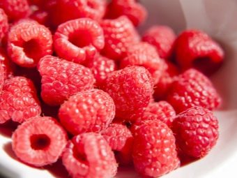 Сколько кальция в малине. kakie vitaminy i mineraly soderzhatsya v maline 17. Сколько кальция в малине фото. Сколько кальция в малине-kakie vitaminy i mineraly soderzhatsya v maline 17. картинка Сколько кальция в малине. картинка kakie vitaminy i mineraly soderzhatsya v maline 17. Энергетическая ценность Малина сушеная составляет 239,7 кКал.