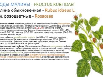 Сколько кальция в малине. kakie vitaminy i mineraly soderzhatsya v maline 9. Сколько кальция в малине фото. Сколько кальция в малине-kakie vitaminy i mineraly soderzhatsya v maline 9. картинка Сколько кальция в малине. картинка kakie vitaminy i mineraly soderzhatsya v maline 9. Энергетическая ценность Малина сушеная составляет 239,7 кКал.