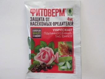 Как удалить червячков из черешни. Смотреть фото Как удалить червячков из черешни. Смотреть картинку Как удалить червячков из черешни. Картинка про Как удалить червячков из черешни. Фото Как удалить червячков из черешни