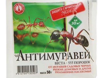 Чем вредны муравьи для смородины. kak navsegda izbavitsya ot muravyov na smorodine 15. Чем вредны муравьи для смородины фото. Чем вредны муравьи для смородины-kak navsegda izbavitsya ot muravyov na smorodine 15. картинка Чем вредны муравьи для смородины. картинка kak navsegda izbavitsya ot muravyov na smorodine 15. На первый взгляд, муравейники в саду незаметны, они же не похожи на огромные лесные кучи хвои. Да и сами садовые муравьи меньше лесных собратьев. Но вскоре становится понятно, что в вашем саду вовсю хозяйничает кто-то кроме вас.